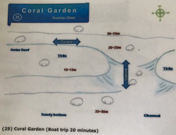 Coral Garden